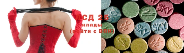 не бодяженный Гусев