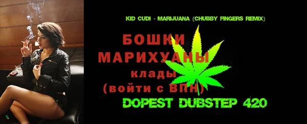 прущие грибы Горнозаводск