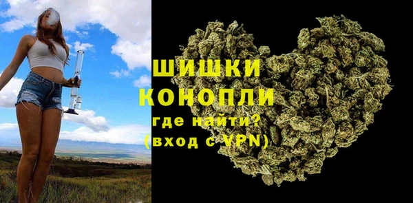 прущая мука Гусиноозёрск