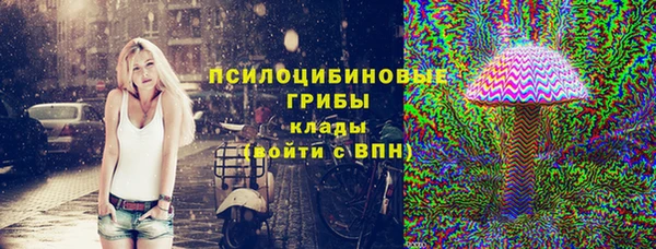 прущие грибы Горнозаводск