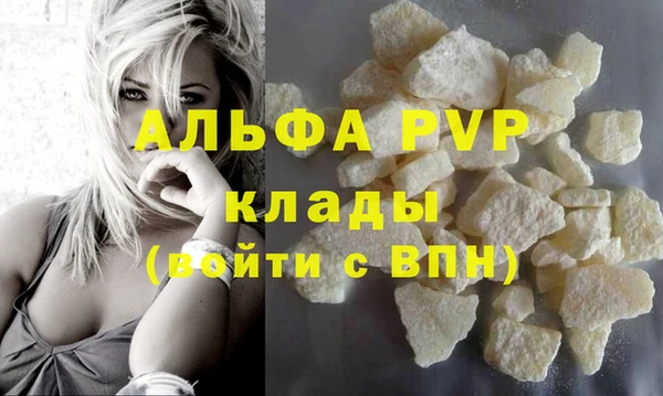 прущие грибы Горнозаводск