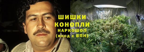прущая мука Гусиноозёрск