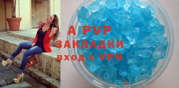 PSILOCYBIN Горно-Алтайск