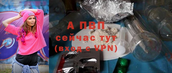 PSILOCYBIN Горно-Алтайск