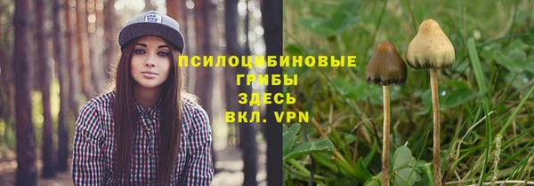 прущие грибы Горнозаводск