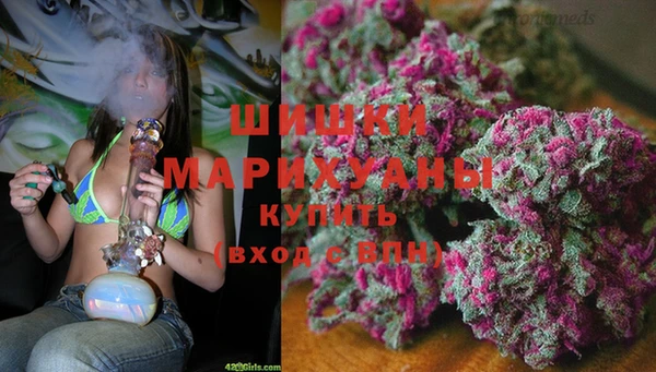 не бодяженный Гусев